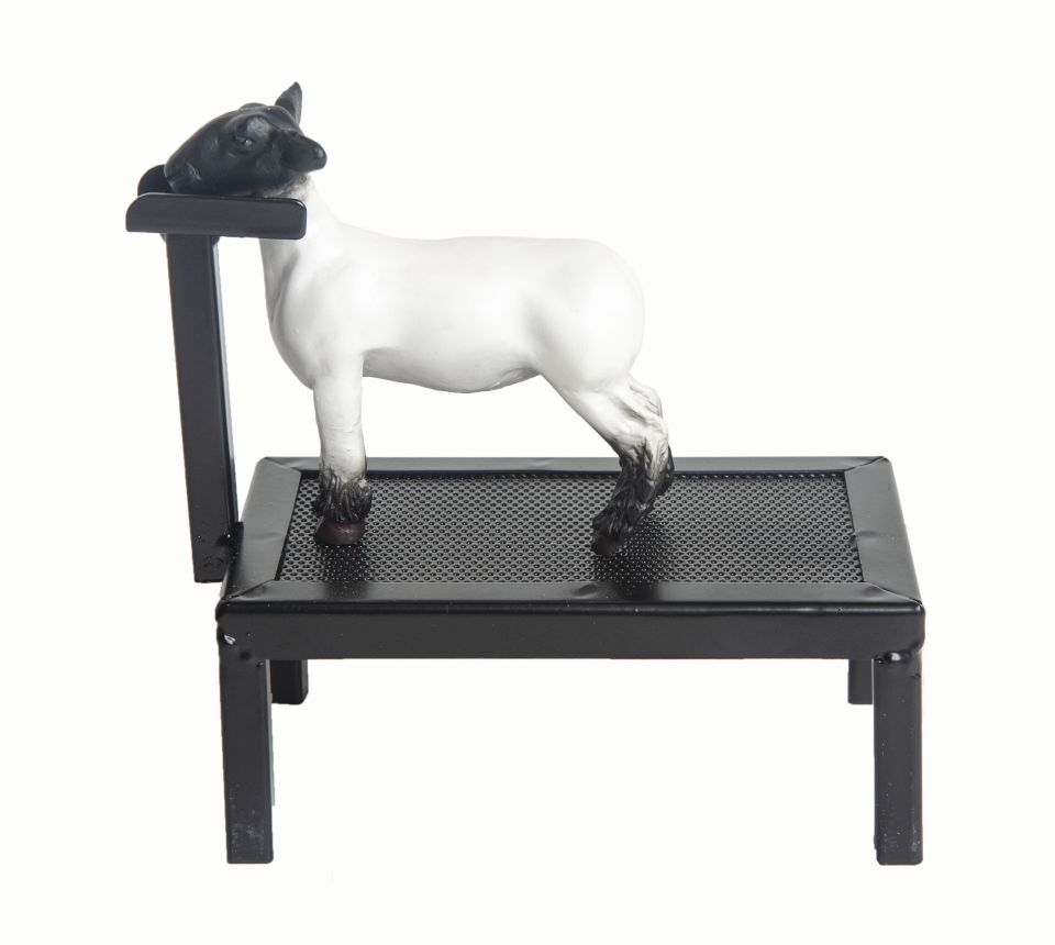 Why Sheep? ‎– Sampling Concerto Why Sheep? ‎– Sampling Concerto